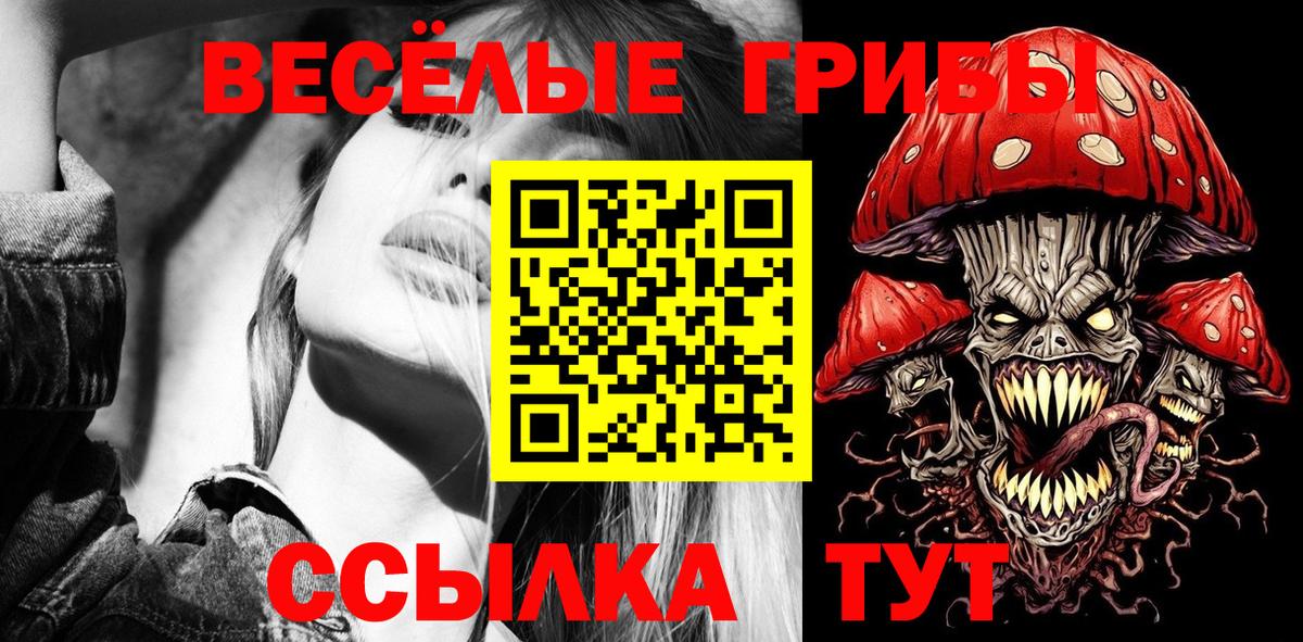 Псилоцибиновые грибы мицелий Кузнецк