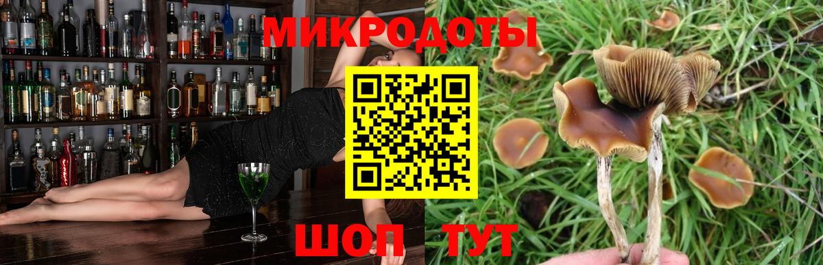 Псилоцибиновые грибы Psilocybe  Псилоцибиновые грибы Cubensis  Вход с VPN  Кузнецк 